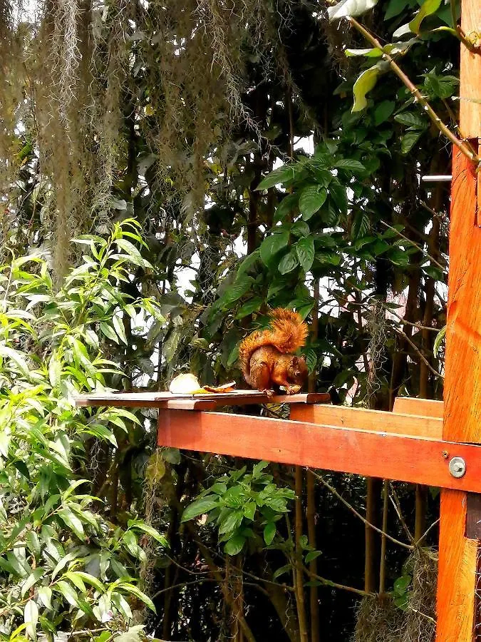 Eco Hostal Casa La Juana Bed & Breakfast Medellin