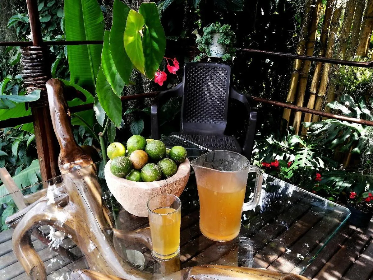 Eco Hostal Casa La Juana Bed & Breakfast Medellin