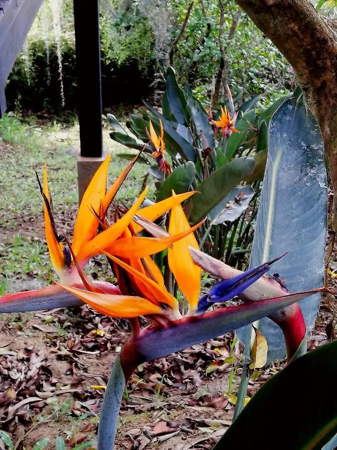 Eco Hostal Casa La Juana Bed & Breakfast Medellin