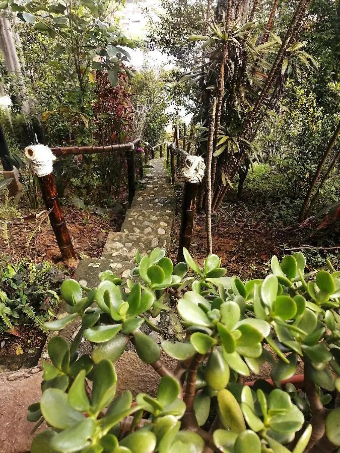 Eco Hostal Casa La Juana Bed & Breakfast Medellin