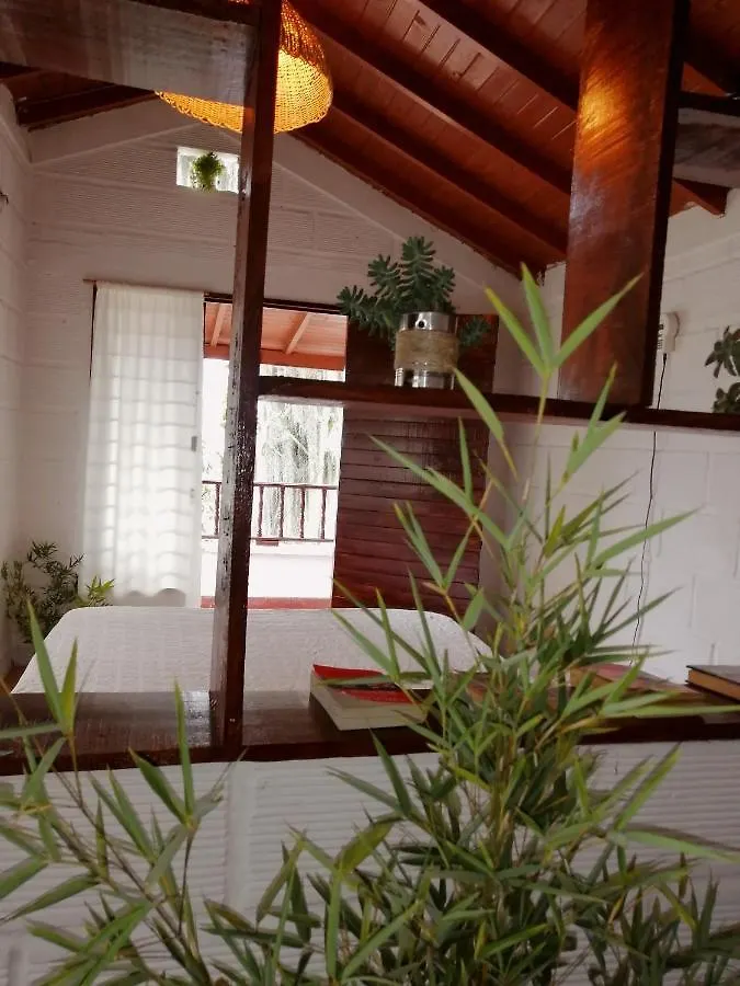 Eco Hostal Casa La Juana Bed & Breakfast Medellin