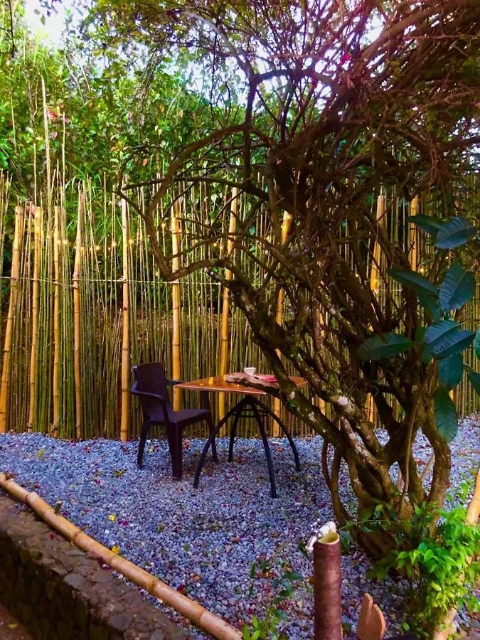 Eco Hostal Casa La Juana Bed & Breakfast Medellin