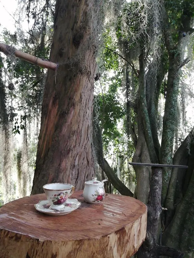 Eco Hostal Casa La Juana Bed & Breakfast Medellin