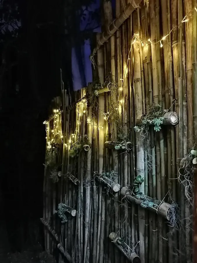 Eco Hostal Casa La Juana Bed & Breakfast Medellin Colombia