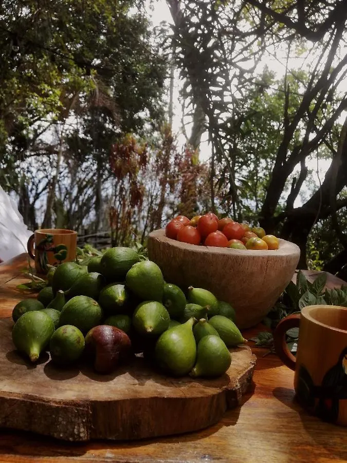 Eco Hostal Casa La Juana Bed & Breakfast Medellin