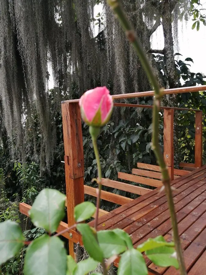 Eco Hostal Casa La Juana Bed & Breakfast Medellin Colombia