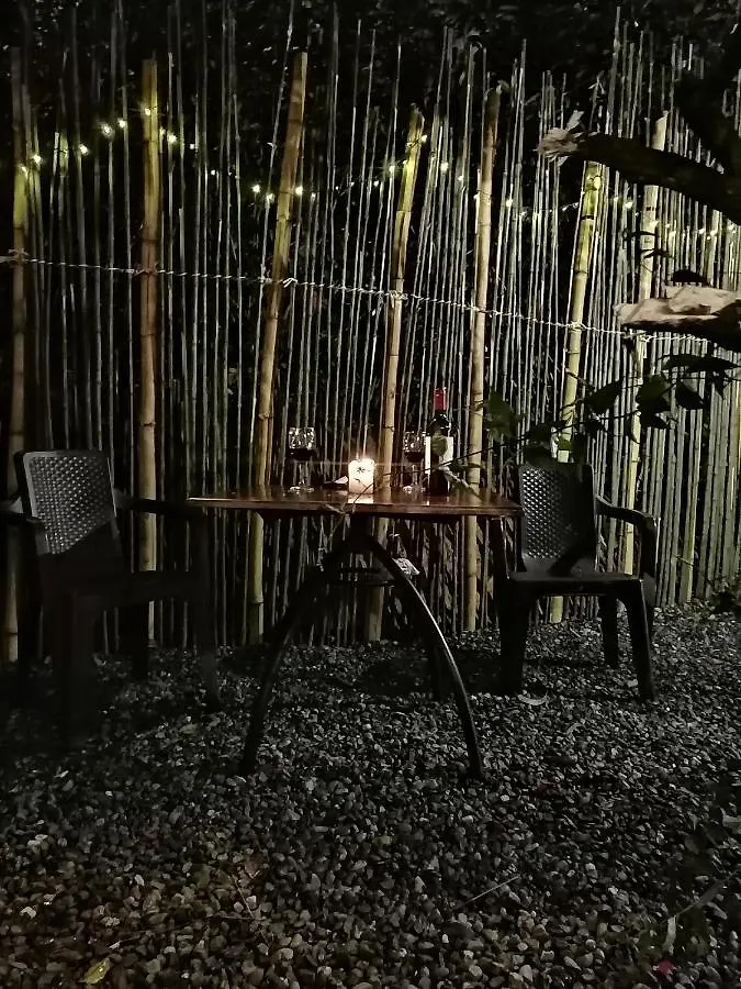 Eco Hostal Casa La Juana Bed & Breakfast Medellin