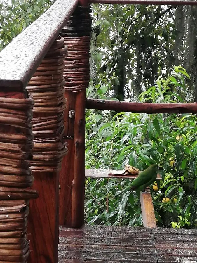 Eco Hostal Casa La Juana Bed & Breakfast Medellin Colombia