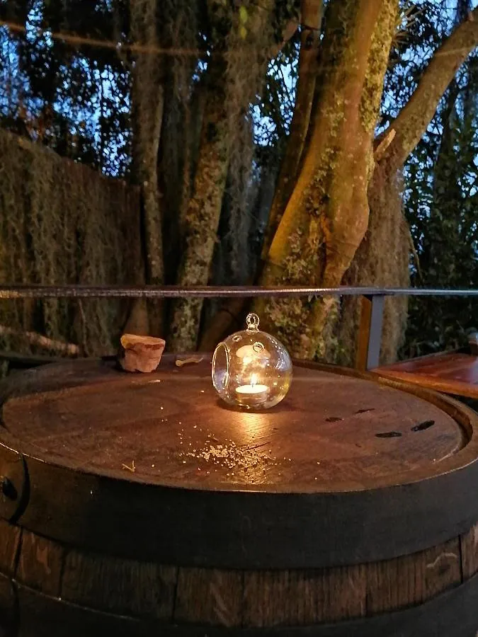 Eco Hostal Casa La Juana Bed & Breakfast Medellin