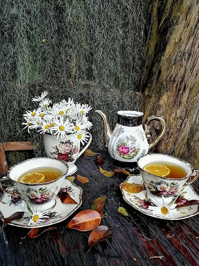 Eco Hostal Casa La Juana Bed & Breakfast Medellin