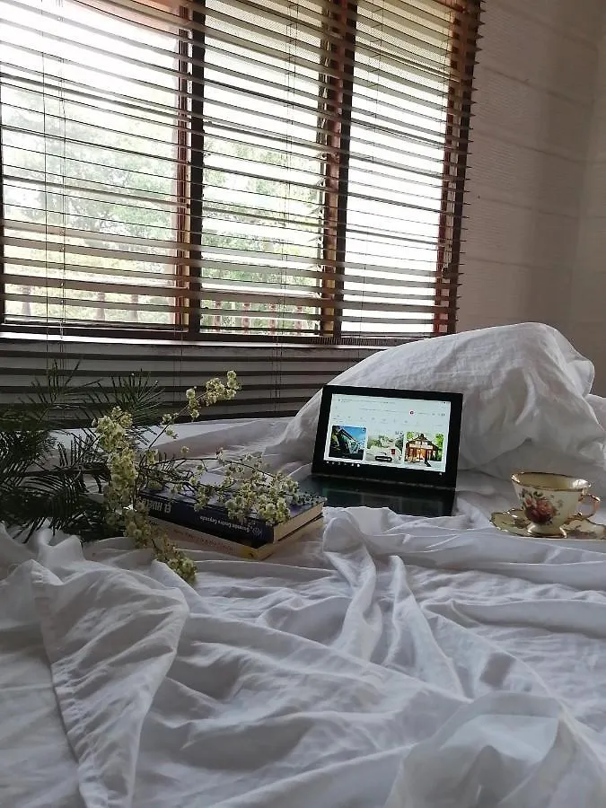 Eco Hostal Casa La Juana Bed & Breakfast Medellin Colombia